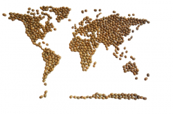 Směs Filippo - (1000g)